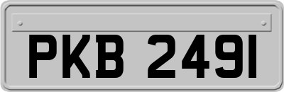 PKB2491