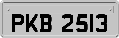 PKB2513