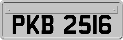 PKB2516