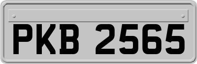 PKB2565