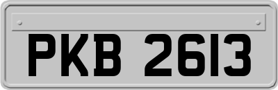 PKB2613