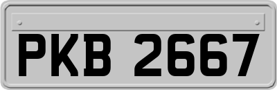 PKB2667