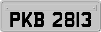 PKB2813