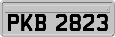 PKB2823