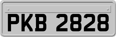 PKB2828