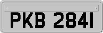 PKB2841