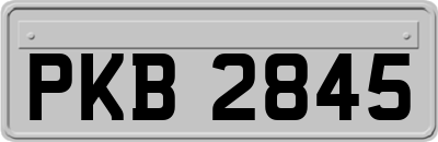 PKB2845