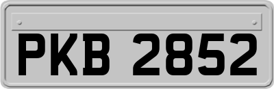 PKB2852