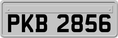 PKB2856