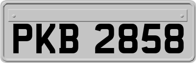 PKB2858