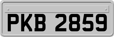 PKB2859