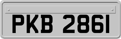 PKB2861
