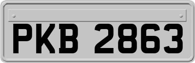 PKB2863