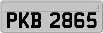 PKB2865