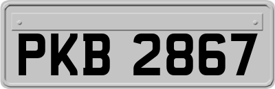 PKB2867