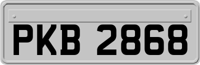 PKB2868