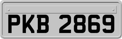 PKB2869