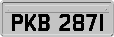 PKB2871