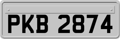 PKB2874