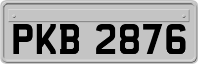 PKB2876