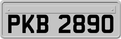 PKB2890