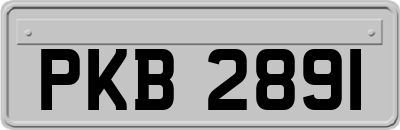 PKB2891