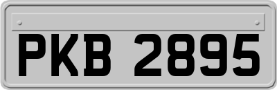 PKB2895