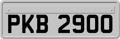PKB2900