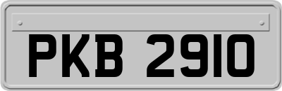 PKB2910