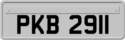 PKB2911