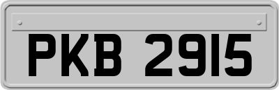 PKB2915
