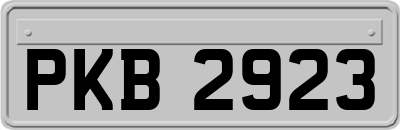 PKB2923