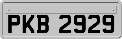PKB2929