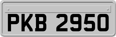 PKB2950