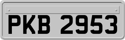 PKB2953