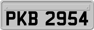 PKB2954