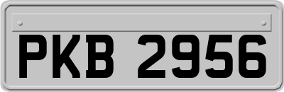 PKB2956