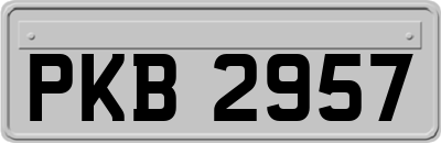 PKB2957