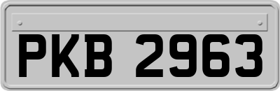 PKB2963