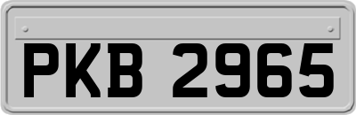 PKB2965