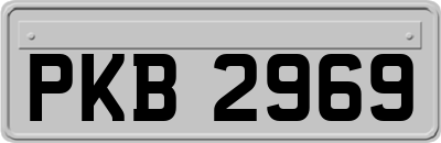 PKB2969
