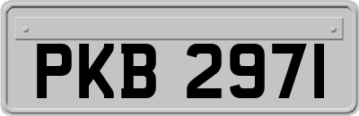 PKB2971