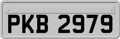 PKB2979