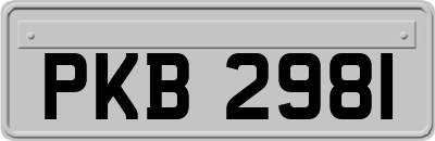 PKB2981