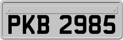PKB2985