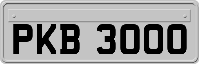 PKB3000