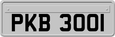 PKB3001