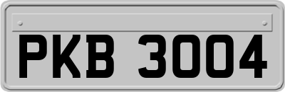 PKB3004