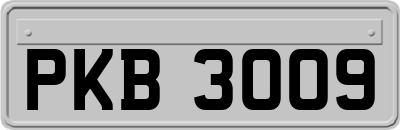 PKB3009