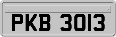 PKB3013